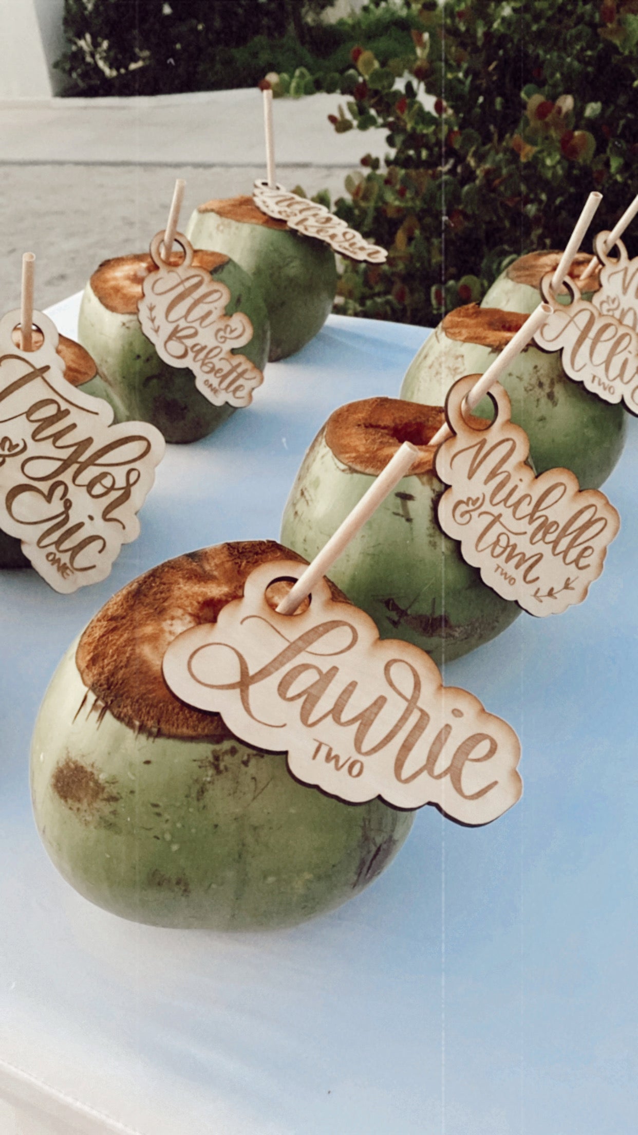 Coconut Wedding Place Cards