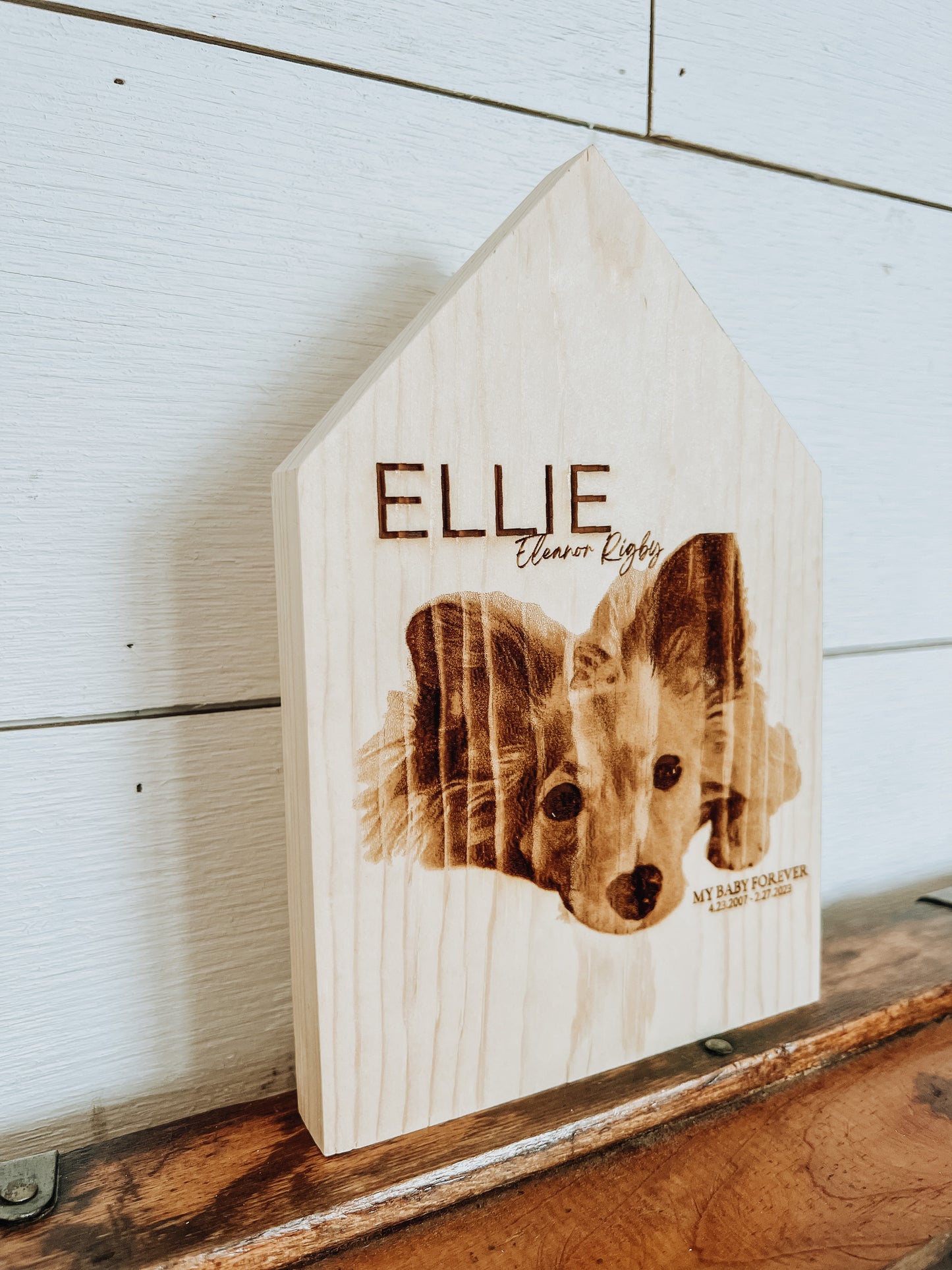 Pet Portrait + Name Wooden Dog House
